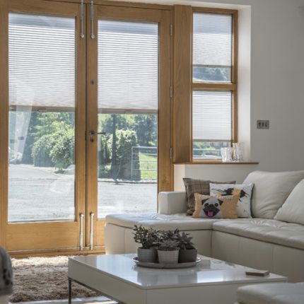 پرده پلیسه پشت دری شیراز