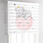 زبرا تصویری