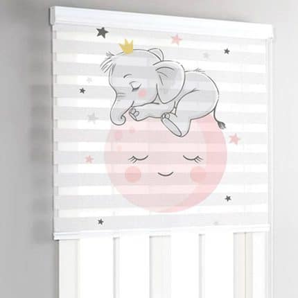 زبرا تصویری