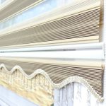 زبرا میکرو پلیسه