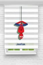 زبرا پلیسه تصویری