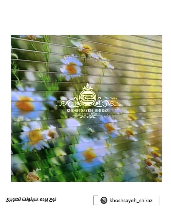 پرده سیلوئت تصویری3