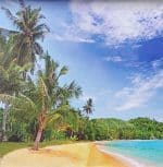 شید تصویری2