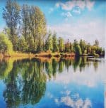 شید تصویری3