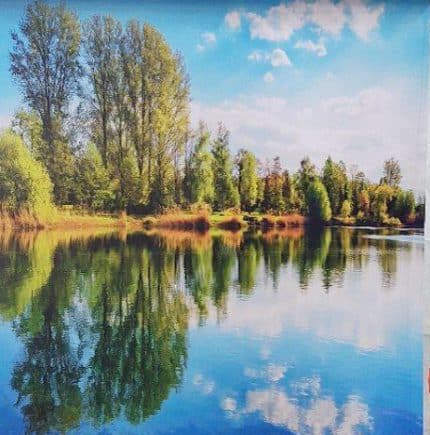 شید تصویری3