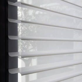 سیلوئت ساده