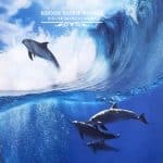 خرید پرده شید سیلوئت استخری شیراز